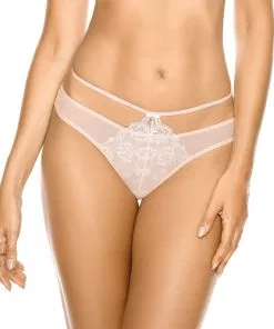 Gorteks String Camelia