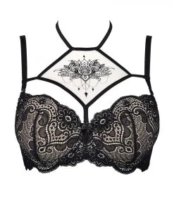 Axami Soutien-gorge Push-up V-9001 7 Axami Soutien-gorge Push-up V-9001 -Promos Soutien-gorge Boutique v 9001 packshot