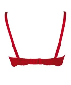 Axami Soutien-gorge Push-up V-9531 -Promos Soutien-gorge Boutique v 9531 packshot back