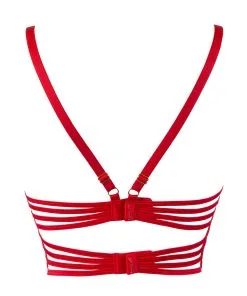 Axami Soutien-gorge Bustier V-9581 -Promos Soutien-gorge Boutique v 9581 back copie